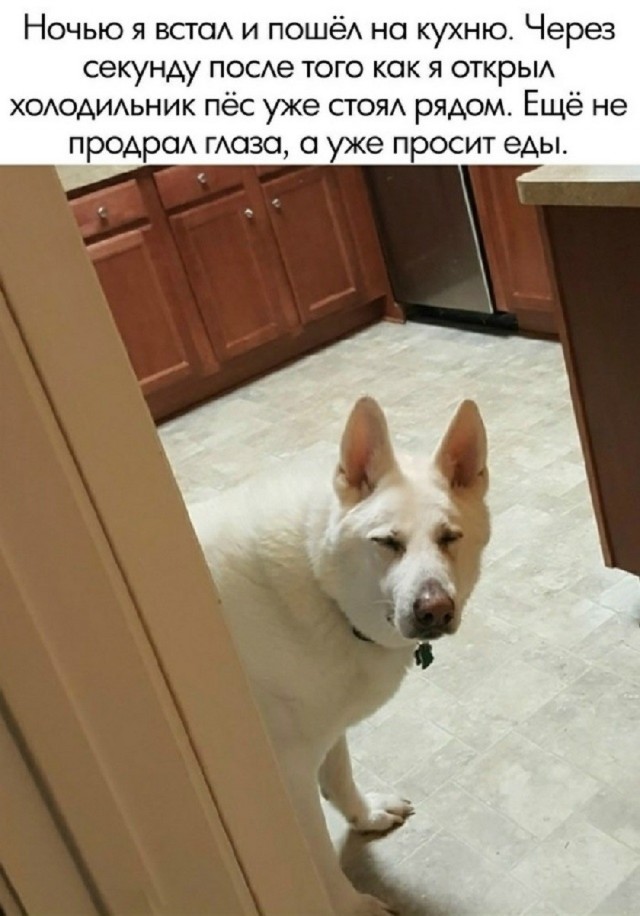 Так себе картинки 12.05.26