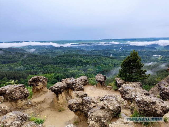 Закачусь с Лёлей в Кисловодск