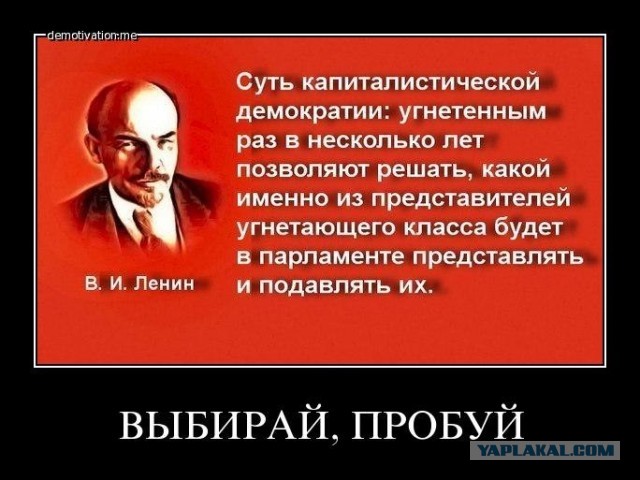 Выборы, выборы! Кандидаты ...