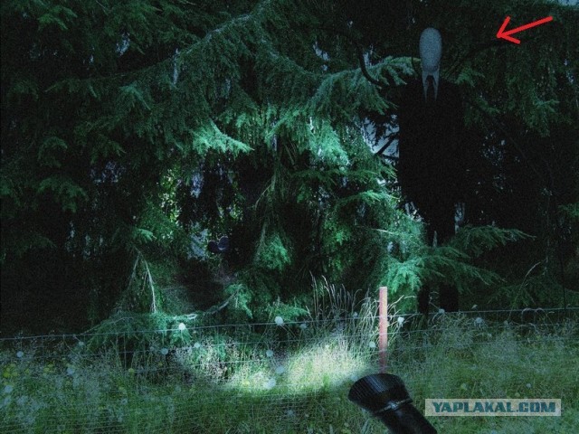 10 историй о людях, которые растворились в воздухе