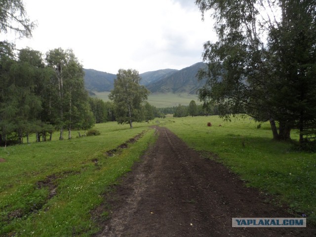 Поход по Алтаю