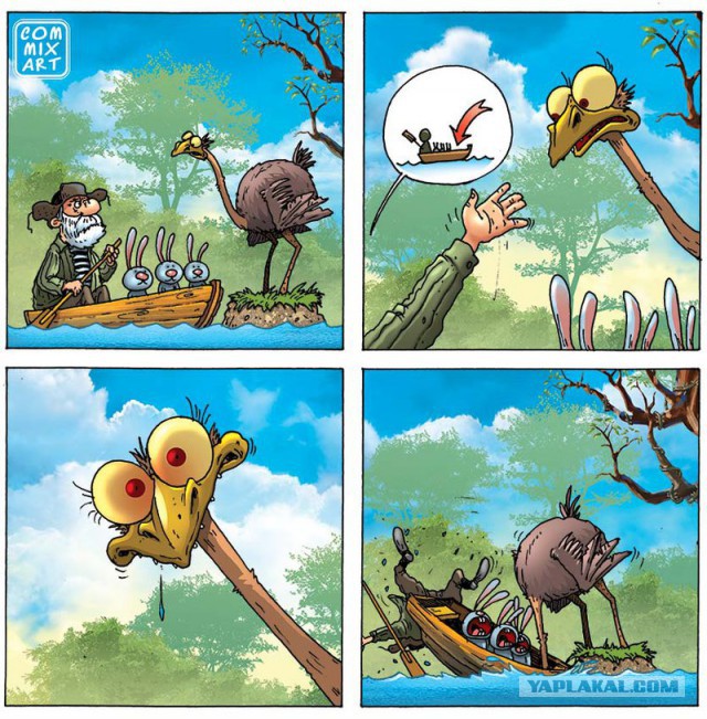 Про страуса..
