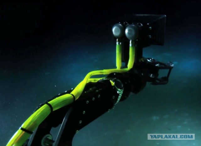 Марианская впадина