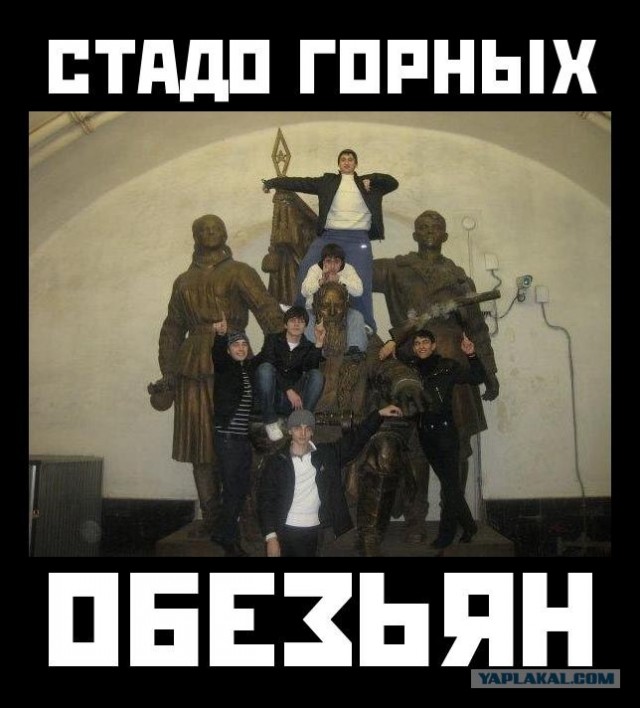 Как изменились мегаполисы с 20 века