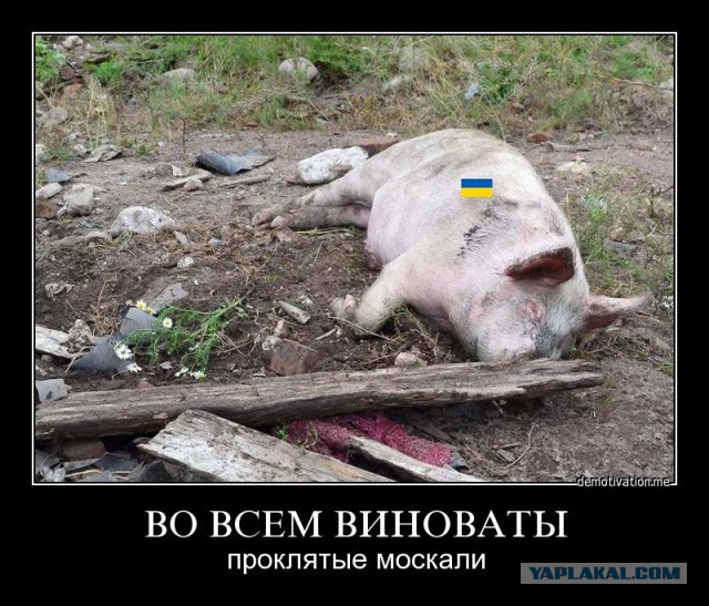 Походу сбой в системе.