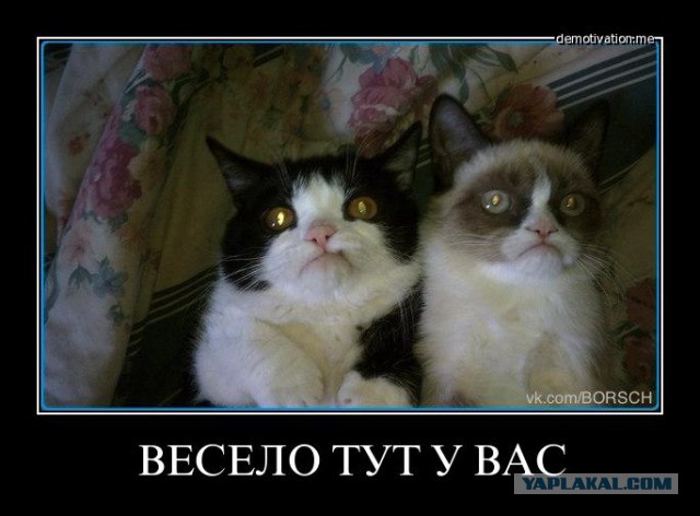 Советское пати