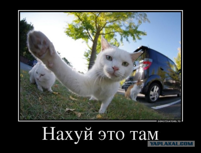 Потомки Романовых хотят недвижку нахаляву