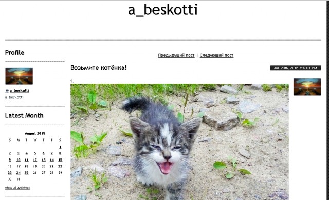 Серый "полхвоста"