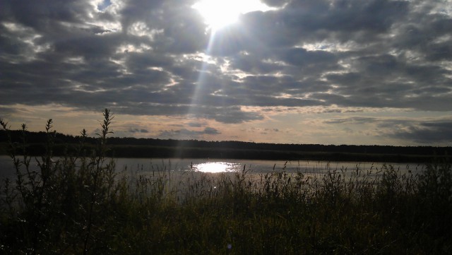 Я узнал, что у меня есть огромная семья