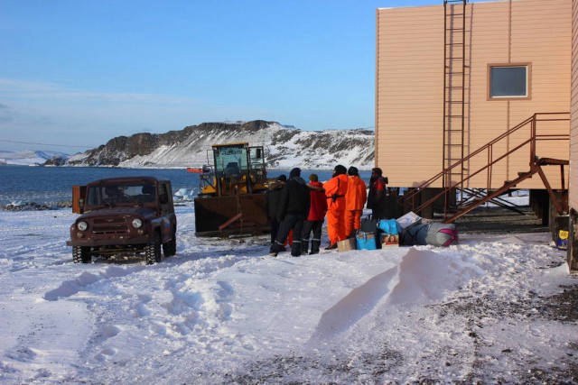 Полтора года зимы