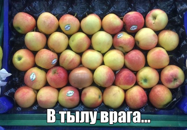 Подборка интересных и веселых фото