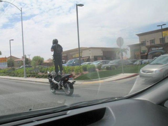 Подборка безудержного веселья