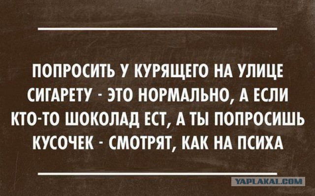Подборка перлов и высказываний