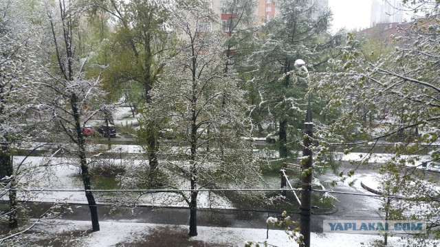 Квартира в доме, который попал под реновацию