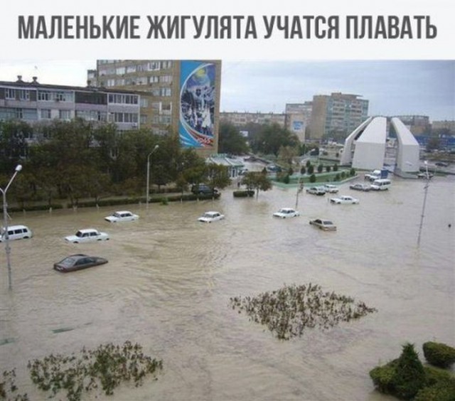 Смешные картинки