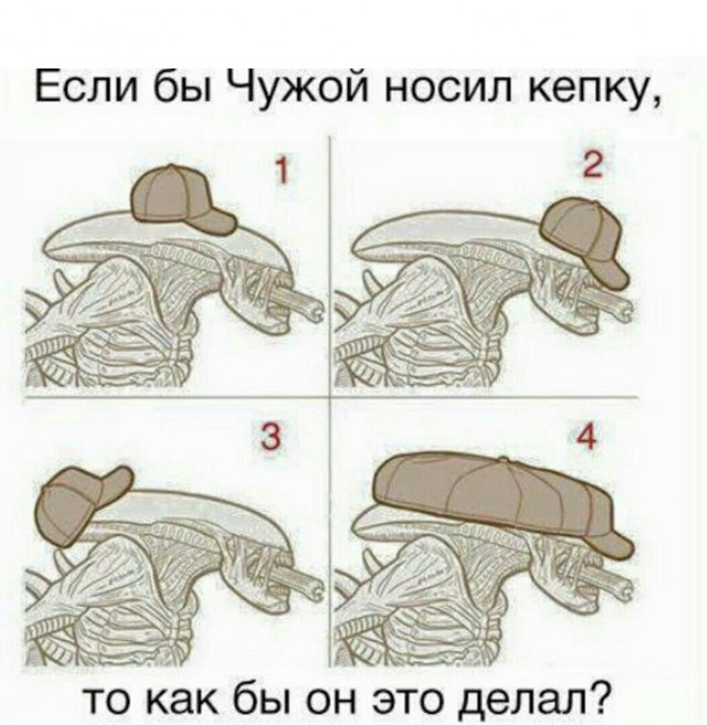 Прикольные картинки 19.06.2017.