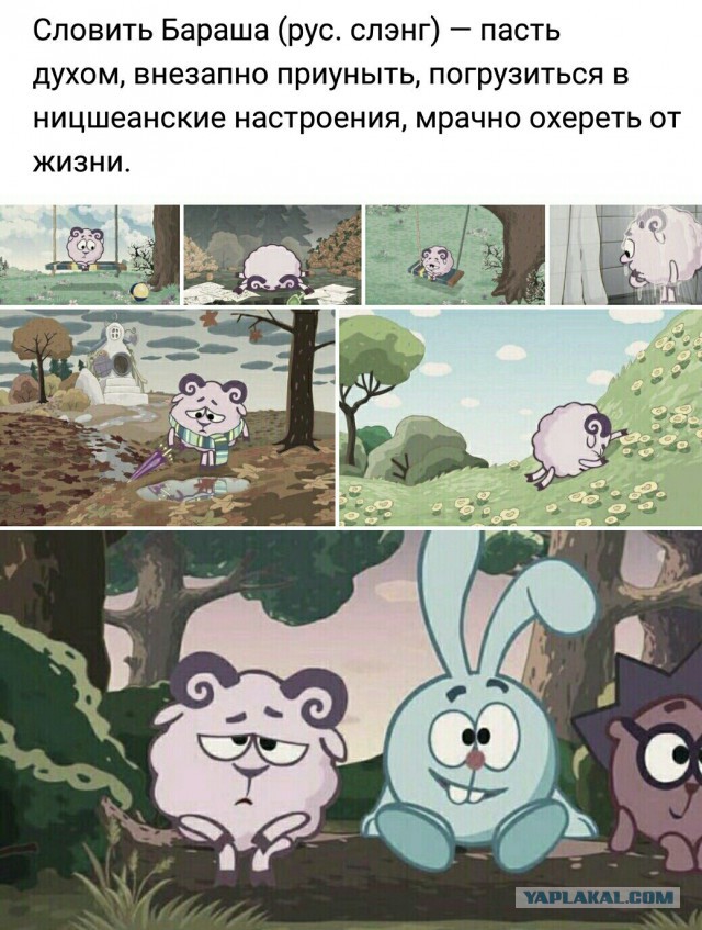 Мизатропируй правильно!