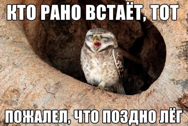 Немного картинок в обед