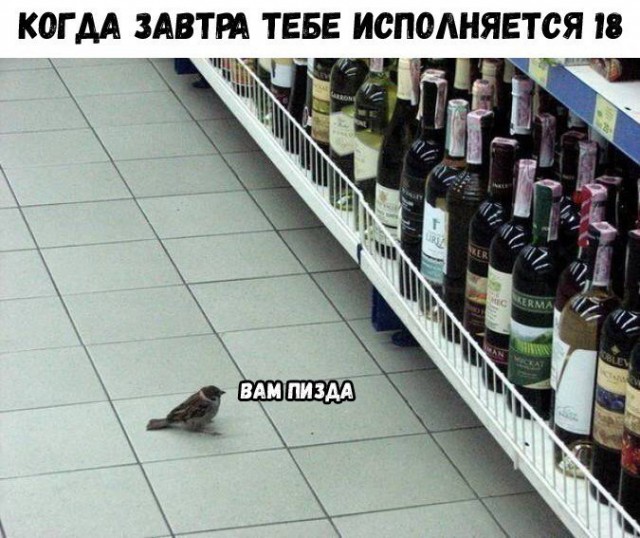 Порция картинок на понедельник