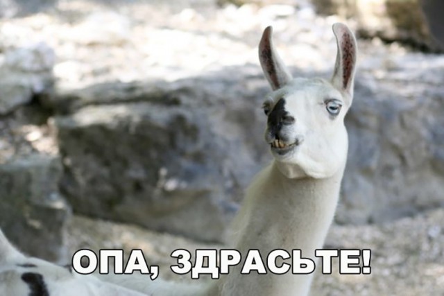 Глазки от работы отрывайте, на картинки повтыкайте!