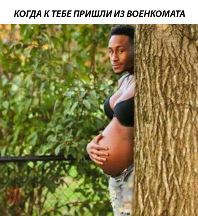 Приколы в картинках или прикольные картинки?