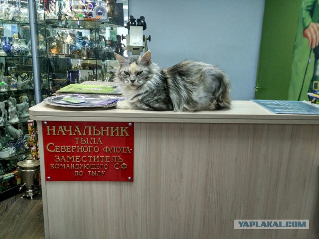 В соцсетях распространяются призывы к бойкоту автозаправок по выходным