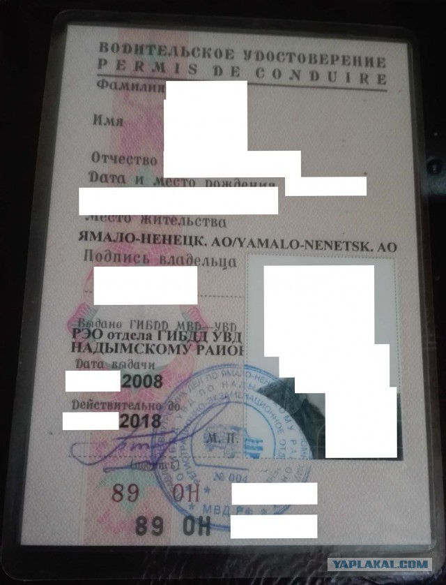 «Расследователи» дела Скрипаля подделали права «Чепиги – Боширова»