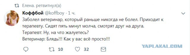 Смешные комментарии из социальных сетей 30.11.2018