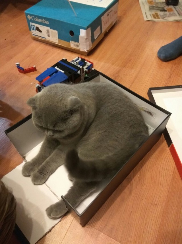 Немного милоты