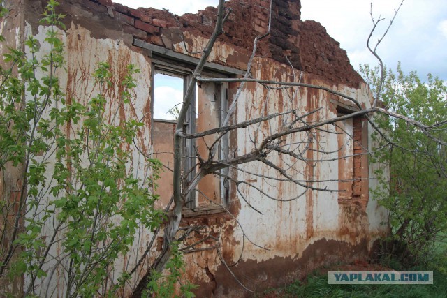 Оренбургская глубинка