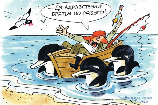 100 000 дельфинов покидают США