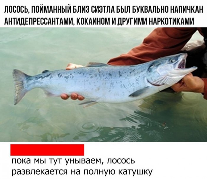 Соц-сети, анекдоты и картинки с надписями 12.03.19