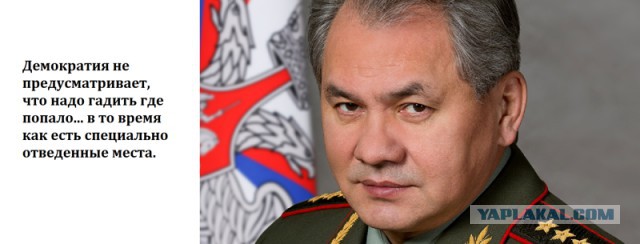 Красавицы-"генеральши" Министерства обороны