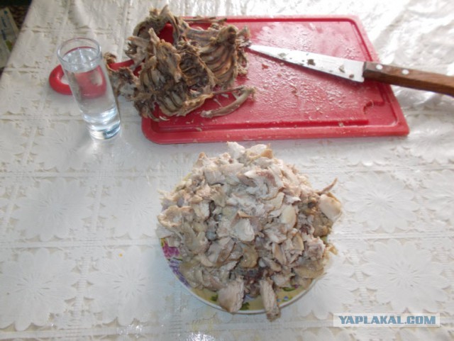 Суп с щавелем. (зелёные щи)