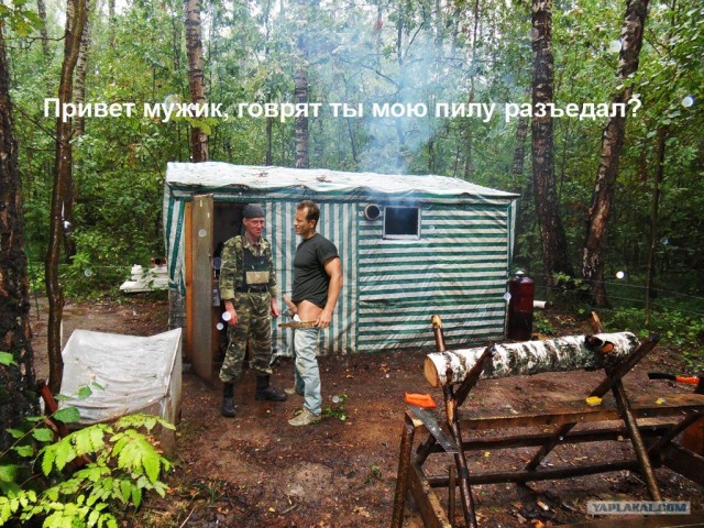 Человек, который живет в лесу и делает сайты.