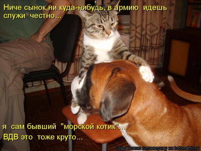 Прощай ЯП