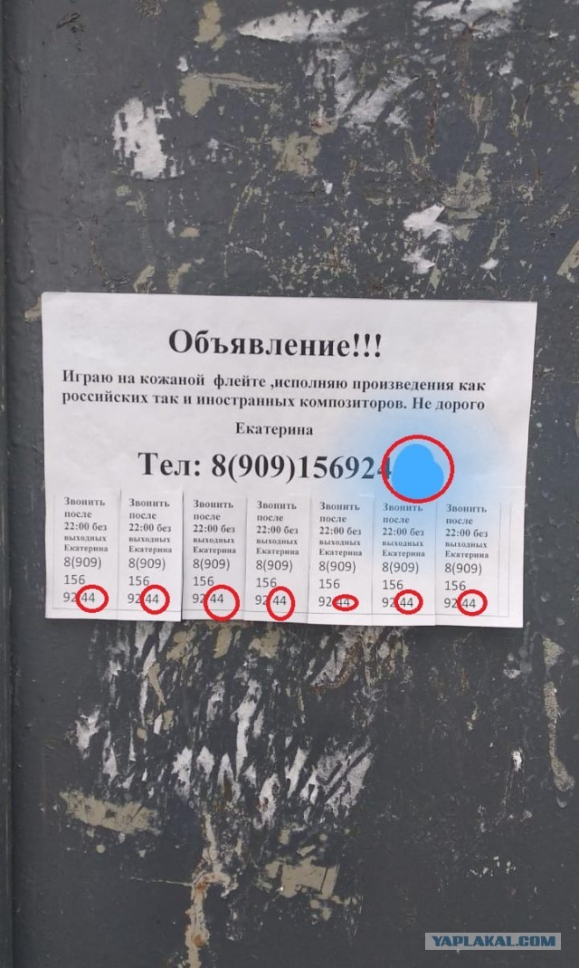 Бредзона