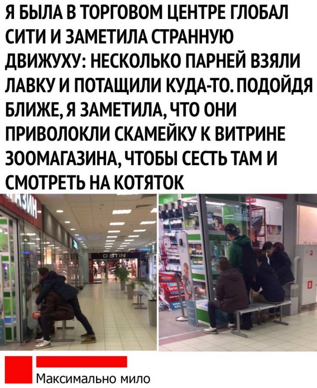 Гуляет Алиса по шахматным клеткам, или шоколадка за нольпятку