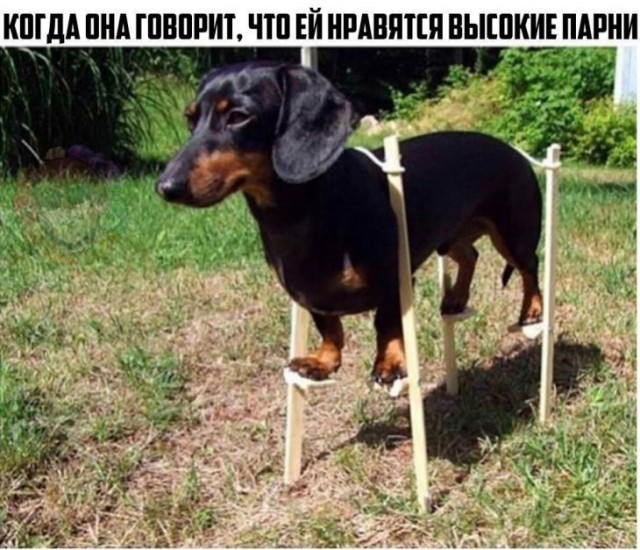 Немного картинок для настроения. Новогодний выпуск