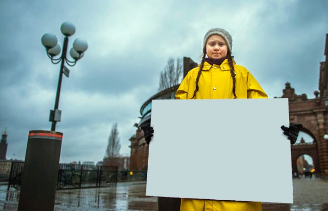 Ударим фотожабой по Грете Тунберг