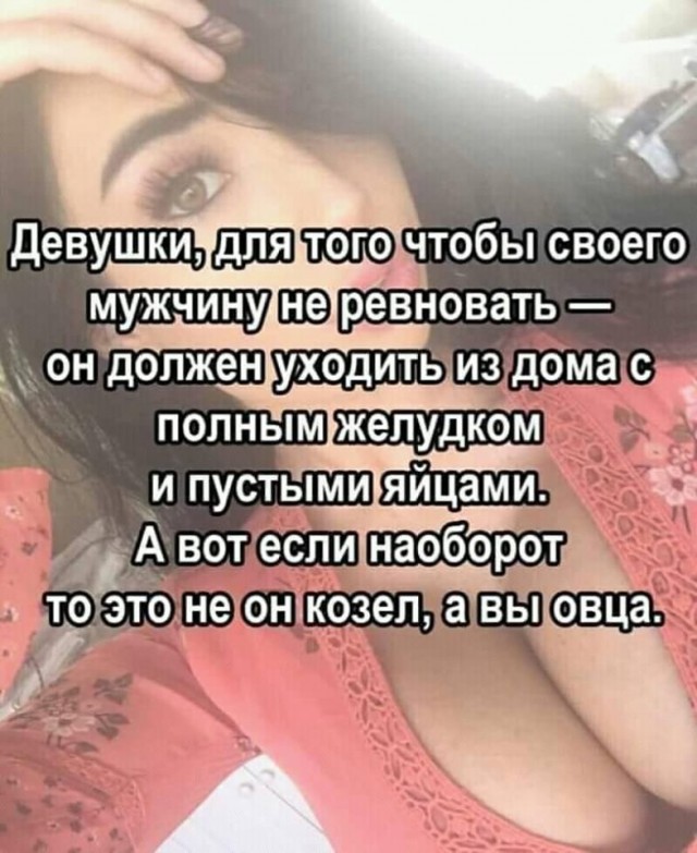 Картинки из рабочего чата 06.04.