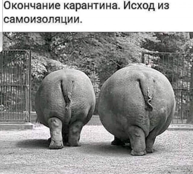 Пара-пара-пам! Фьють! От 15.04.2020