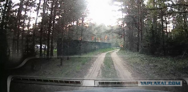 "У нас не Европа!" - почему россияне выбирают высоченные заборы и смеются над живой изгородью