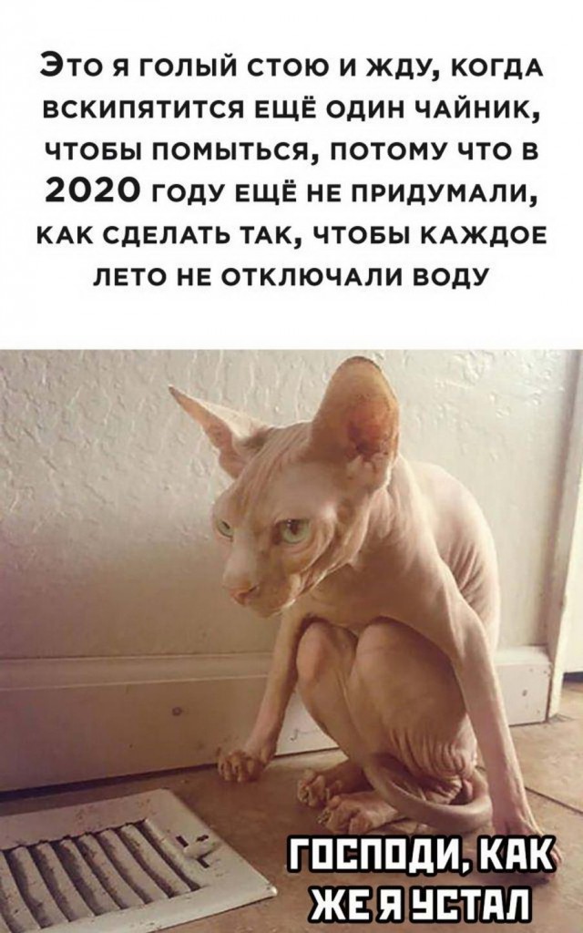 Бредзона 12.07.2020