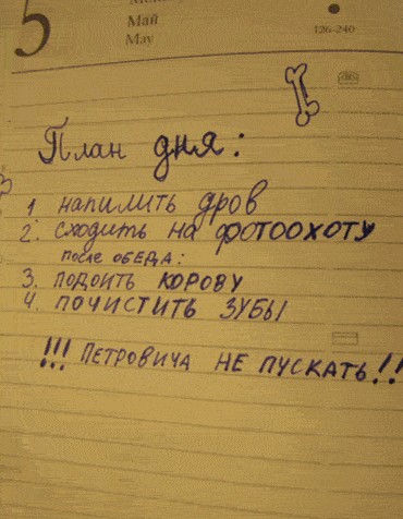 Каникулы в Простоквашино