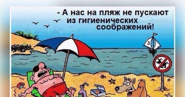 МЧС запретит приходить на пляжи с животными, плавать на брёвнах и подбрасывать купающихся - все "забавы детства" запретили...
