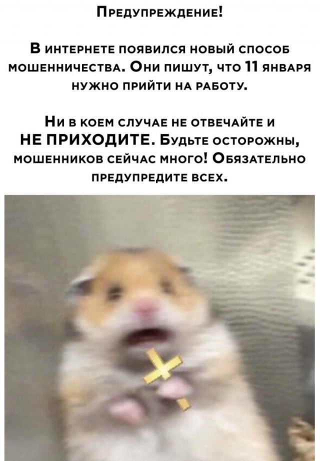 Бредзона 10.01.21
