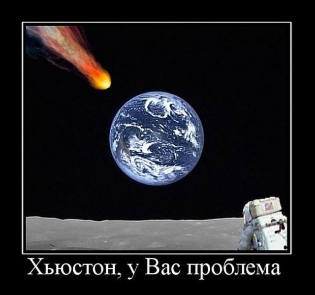 Котенка запустили в космос!