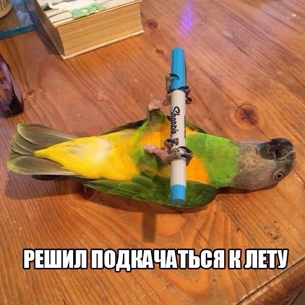 Так себе картинки 21.03.21