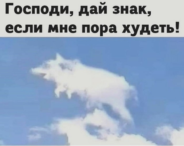 Картинки и мемы для настроения